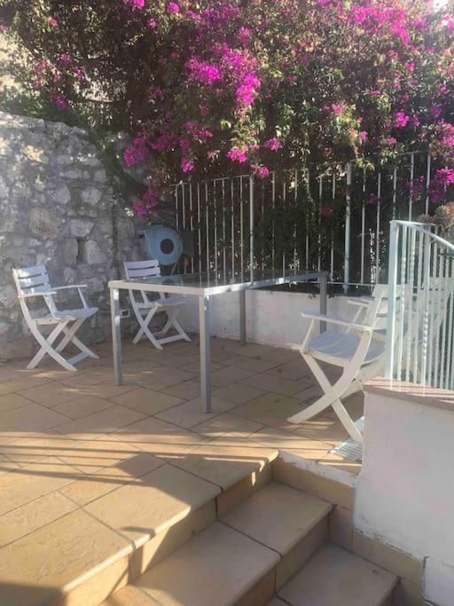 Villawoho Spacious Terraces, Panoramic Seaview In Quiet Area * Menton